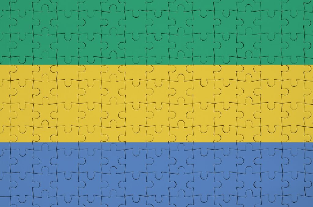 GABON’S NEW PRESIDENT WANTS TO DIVERSIFY ITS ECONOMY